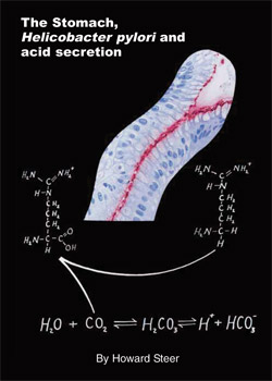 The Stomach, Helicobacter pylori and acid secretion
by Howard Steer